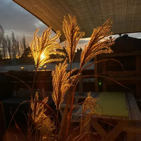 Bambus, Jungle, Dachterrasse & Bequem Bis Zentrum