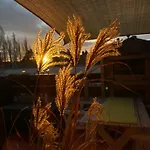 Bambus, Jungle, Dachterrasse & Bequem Bis Zentrum