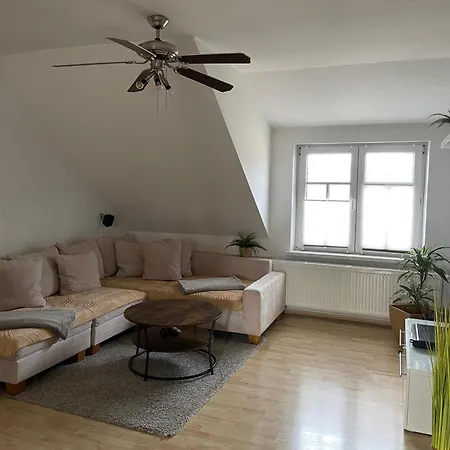 Bambus, Jungle, Dachterrasse & Bequem Bis Zentrum