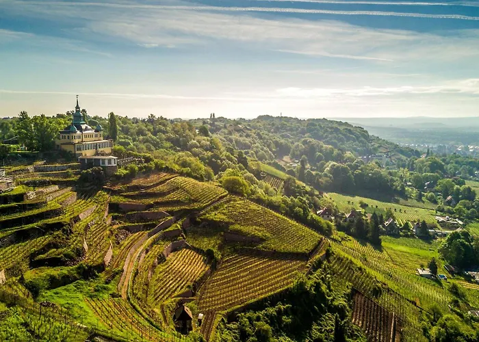 Bambus, Jungle, Dachterrasse & Bequem Bis Zentrum