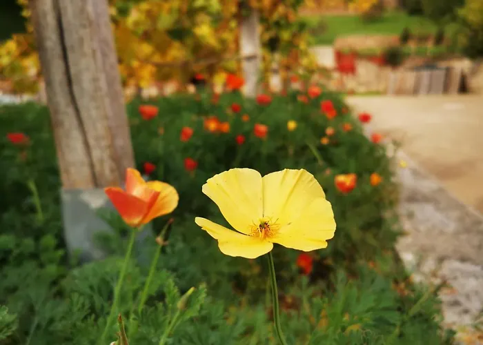 Bambus, Jungle, Dachterrasse & Bequem Bis Zentrum