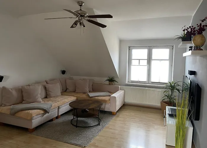 Bambus, Jungle, Dachterrasse & Bequem Bis Zentrum