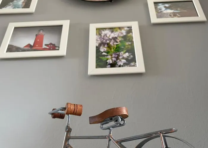 Appartement Bambus, Jungle, Dachterrasse & Bequem Bis Zentrum Radebeul