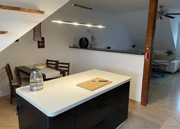 Bambus, Jungle, Dachterrasse & Bequem Bis Zentrum Radebeul