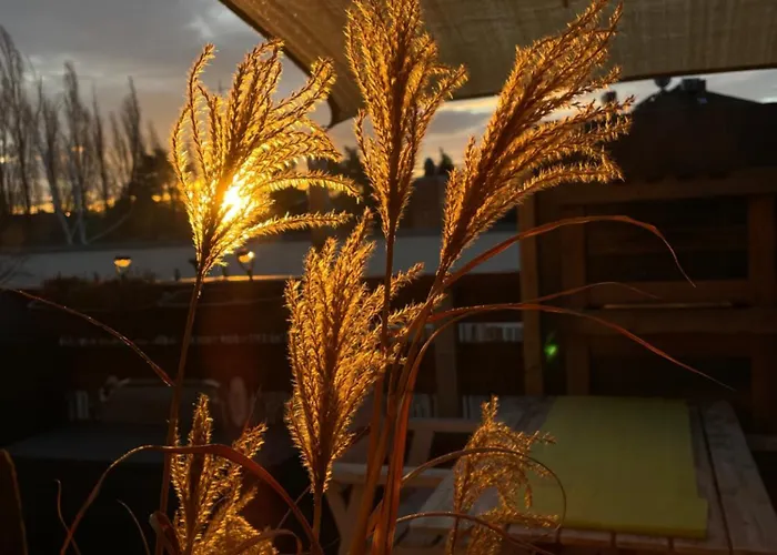 Bambus, Jungle, Dachterrasse & Bequem Bis Zentrum